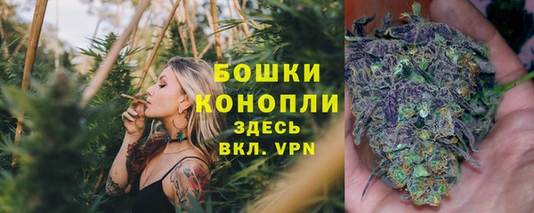 молекула духа Пролетарск