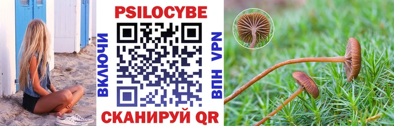 Купить  Дзержинск  Галлюциногенные грибы Magic Shrooms 