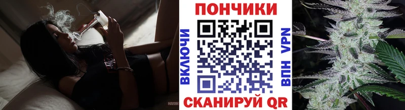 Купить где  Дзержинск  Каннабис план 